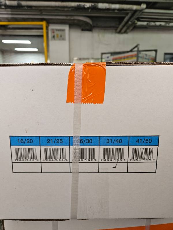 ��Ĭ���ϻ���