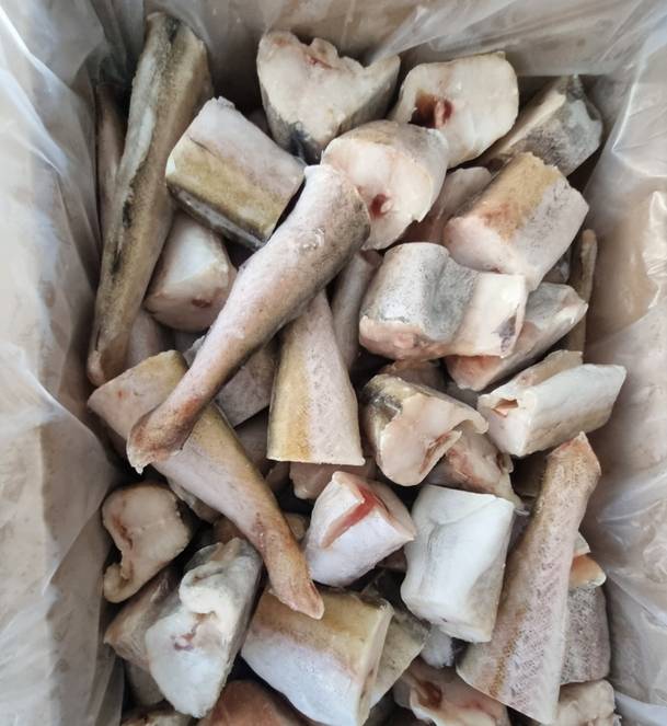 �����ڴٸ� ���