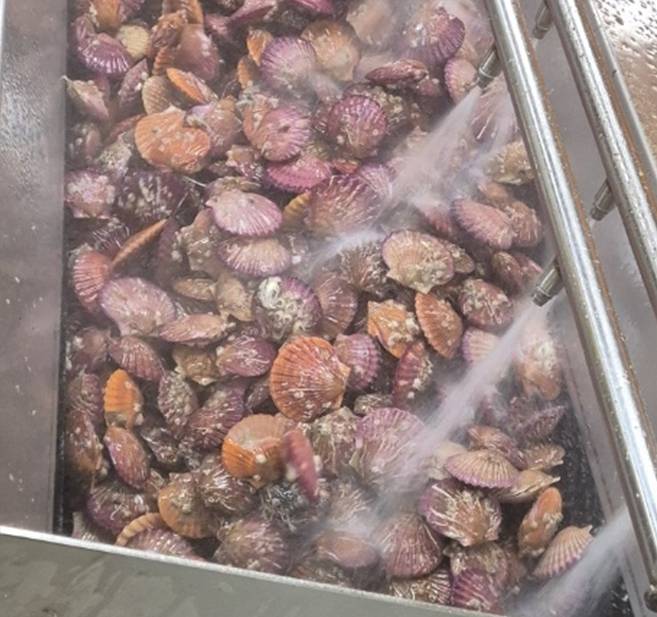 ȫ������ ���ڼ�