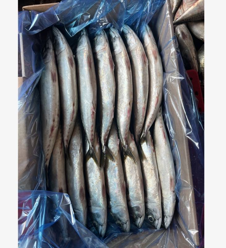 ������� �ʷ���