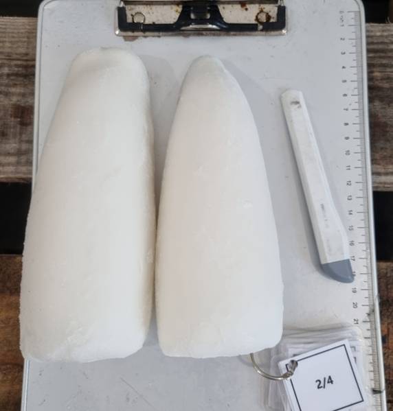 ����¡���