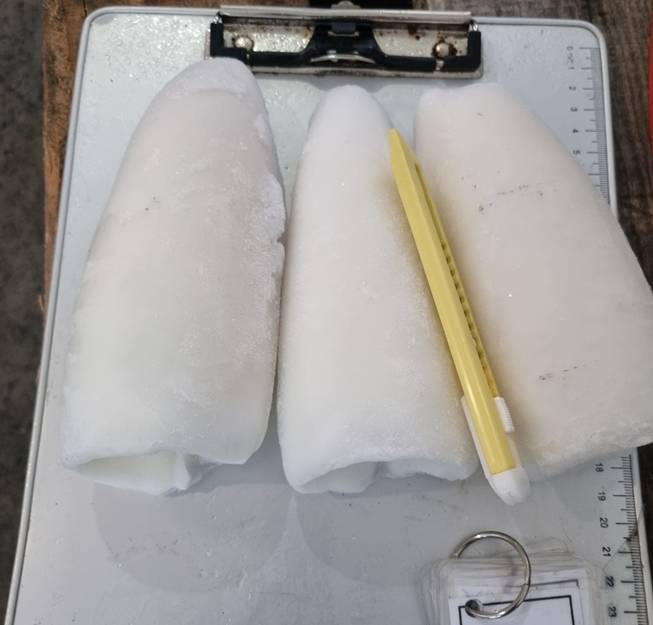 ����¡���