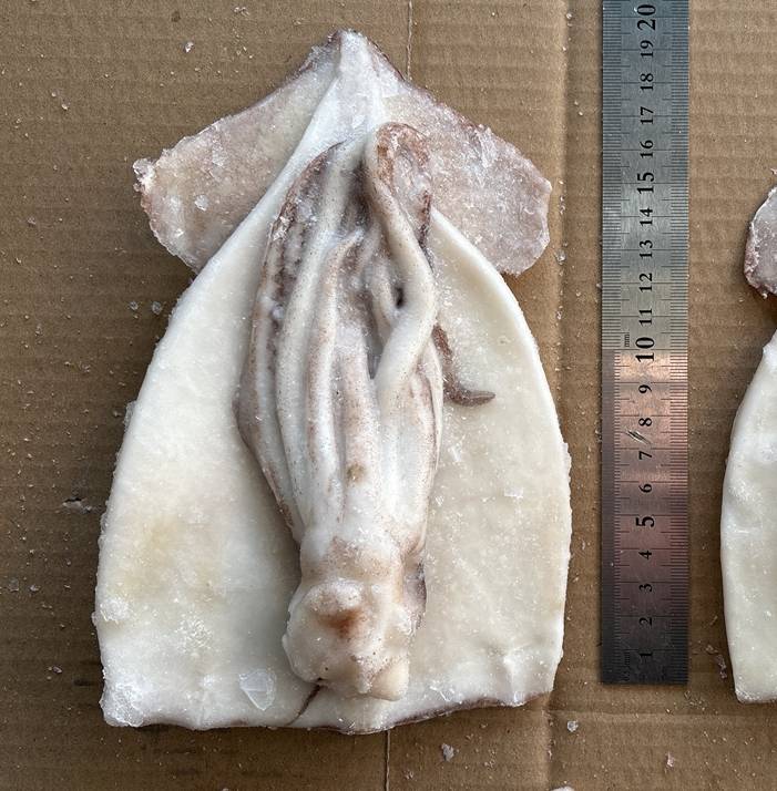 ��¡���Һ�