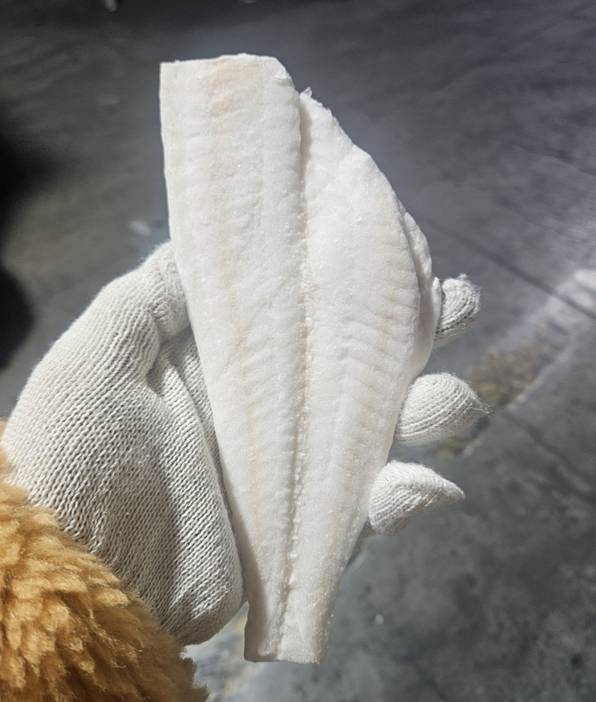 ���찢�ð��ڹ� �ʷ�