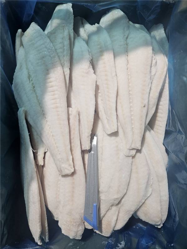 ���� ���ð��ڹ��ʷ� ��Ų��