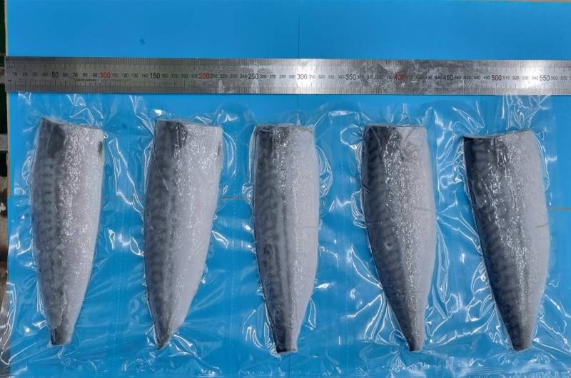 ������ʷ�(����)